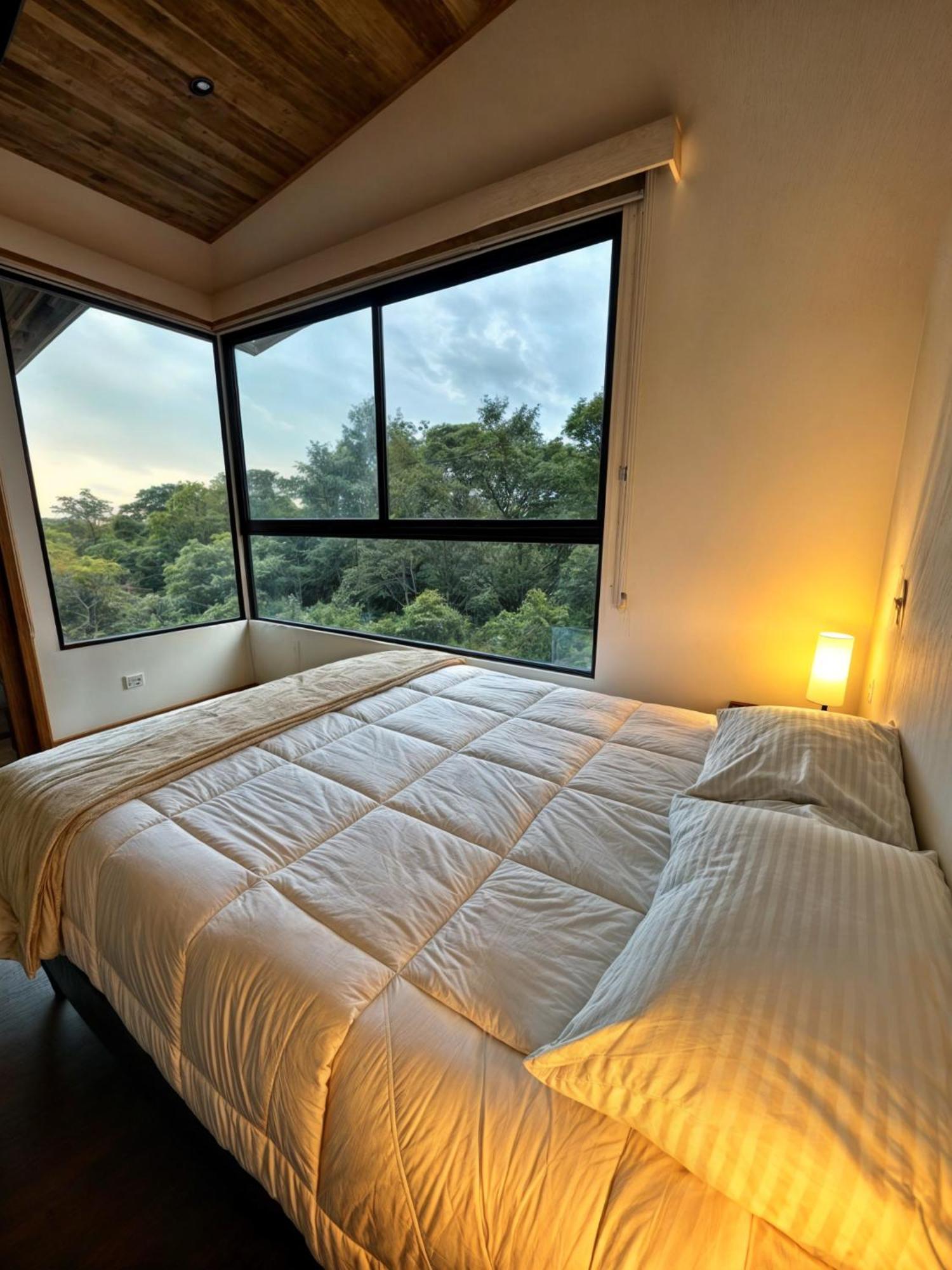 Moon Forest Apartments Monteverde Eksteriør bilde