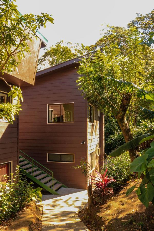 Moon Forest Apartments Monteverde Eksteriør bilde