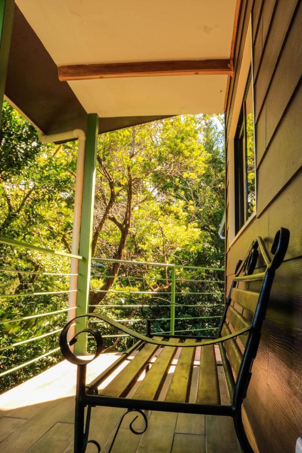 Moon Forest Apartments Monteverde Eksteriør bilde
