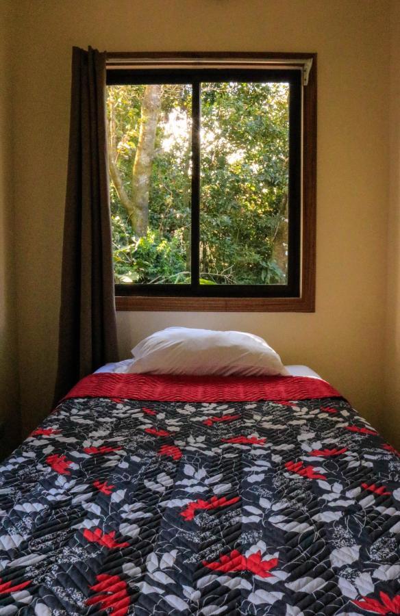 Moon Forest Apartments Monteverde Eksteriør bilde